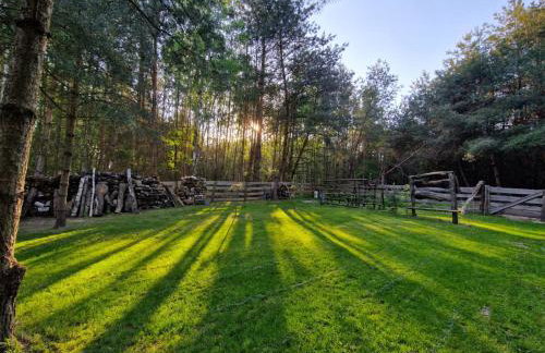 Przystań Zakapiora - Foto 8