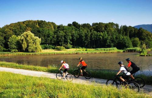 The Cozy Chalet - Foto 63