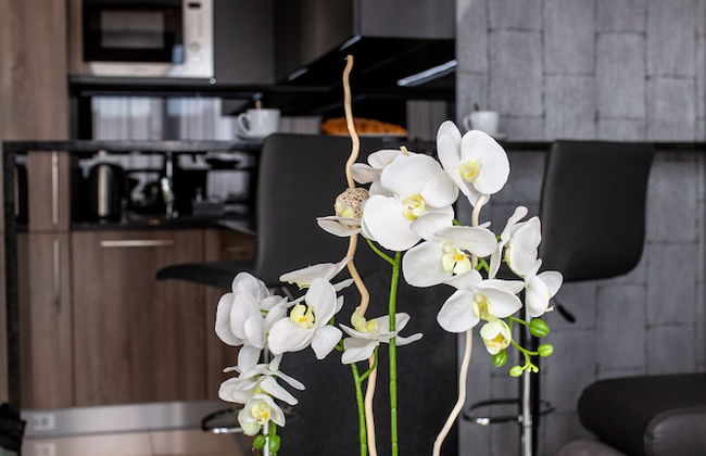 Aparthotel New Lux - Photo 28