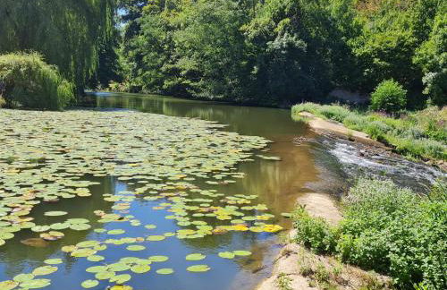 Le Moulin de l'O-L'Orle Nature formule 4 personnes - Foto 35