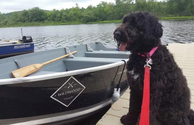 Wildwood Cottages - Foto 26