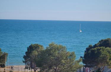 Los Caballos - Foto 6