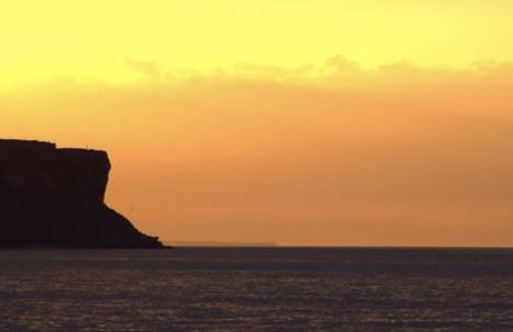 La chaumière - Foto 22