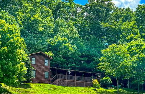 Bear Necessities - Photo 1