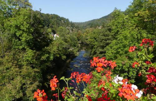 Ferienwohnungen Sonnenhalde mit schöner Aussicht - Foto 46