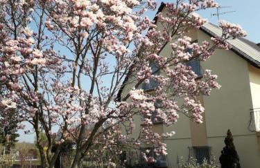 Villa 8 personnes - Porte du Ried - Foto 9