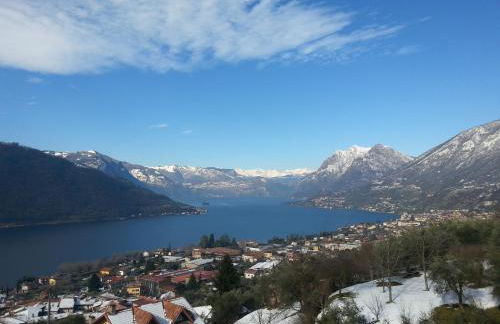 purple nest - Foto 18