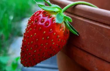 Annemarie Zerpenschleuse - Schwedenhaus mit Künstler-Charme und Sauna - Photo 10