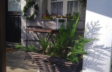 El Rinconin de Degu - Photo 6