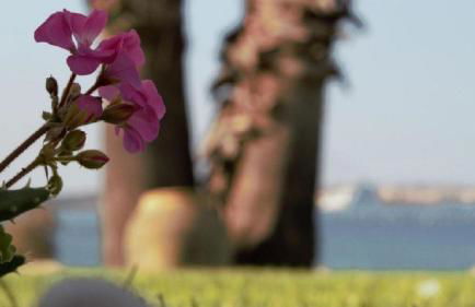 Villa Incanto on the Sea - Foto 44