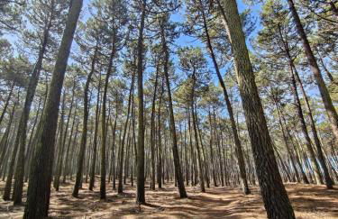 Casa Amarela - Foto 25