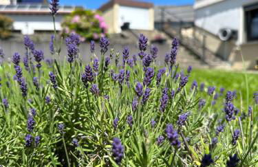 Ferienwohnung Panorama Oberkirn - Foto 13