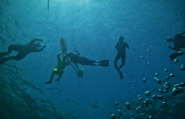Snorkelling in Havana - Photo 7