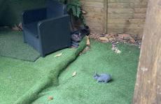 Montpellier : Jolie studio très calme - Foto 19