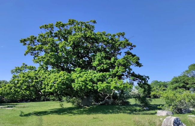 6 Person Holiday Home in Kettinge - Foto 20