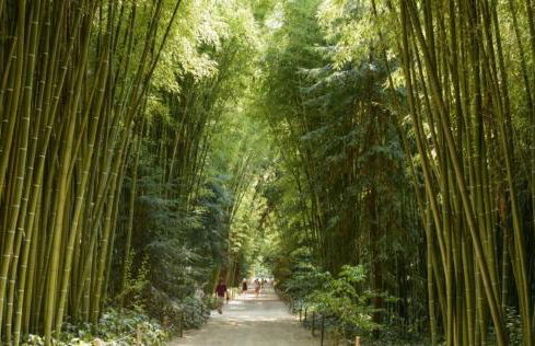 Domaine de la Source, Charme & piscine à Uzès - Foto 15