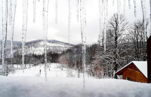 Osada Jelonki Wielka Puszcza - Foto 66