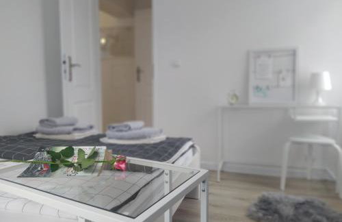 Apartament FANABERIA Lądek Zdrój - Foto 13