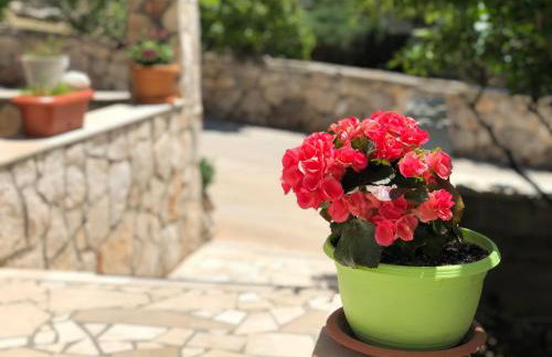 Apartmani Roxy - Foto 11