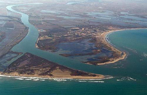 Mas de Melonet Delta del Ebro - Foto 41