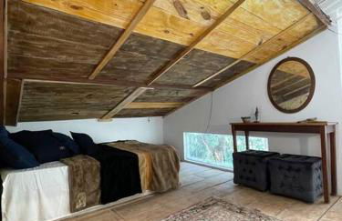 Bosque na Montanha Encantada - Foto 13