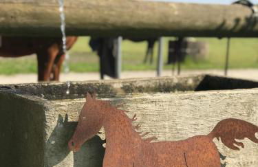 Tiny House auf Pferdehof - Foto 19