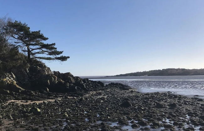 Holly Blue - Cosy Wooden Lodge, Kippford - Photo 32