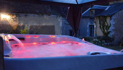 Maison de charme au cœur du Blanc, avec spa et jardin - Photo 3