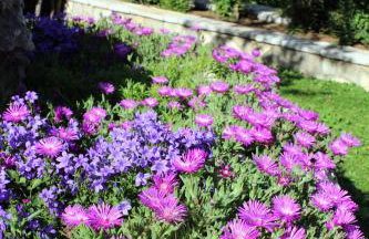 Apartments Dalia - Foto 51