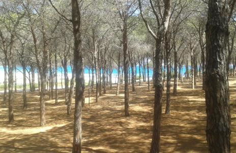 Marea Apartment - Foto 31