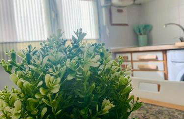 Amplio Apart 3 dormitorios cerca de la playa con garaje - Foto 9