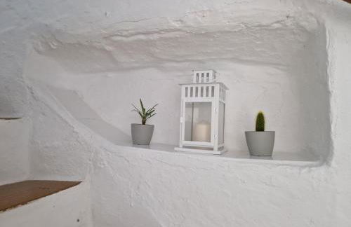 El Pitijopo - Foto 14