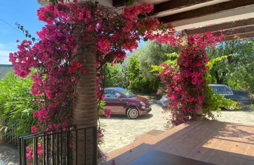 Villa Zahar - Foto 9