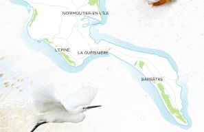 La Maison des Pins - Photo 12