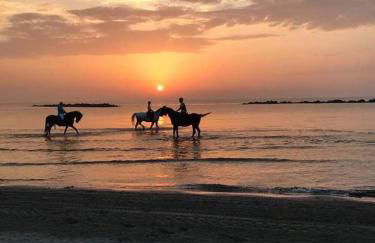 Cortina 2-24 - Foto 20