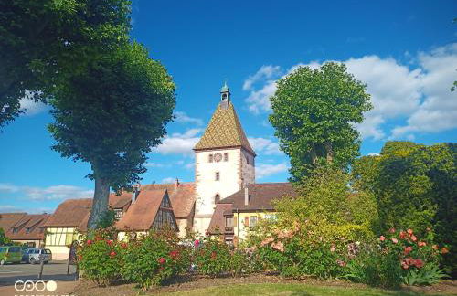 Bergheim Piscine - Foto 32
