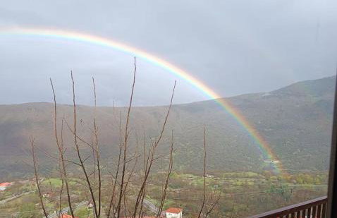 Άγρια Λούλουδα Κατοικία Ευτυχία - Photo 77