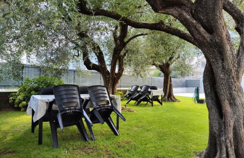 Oasi degli Ulivi - Foto 55