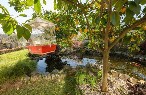 Sweet Home Braga - 4 rooms apartment - Foto 31