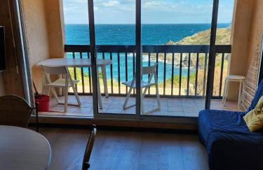 Appartement vue mer Port Vendres Collioure direct crique wifi - Foto 1