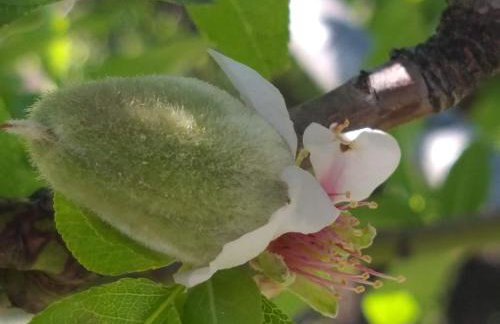 Villa Rosa with private pool, Athens Riviera - Foto 57