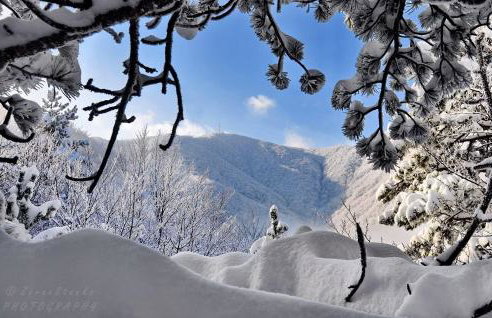 The Cozy Chalet - Foto 56