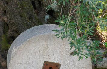 Bellina Villa - Foto 35