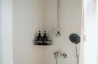 Olive Roots - Foto 42