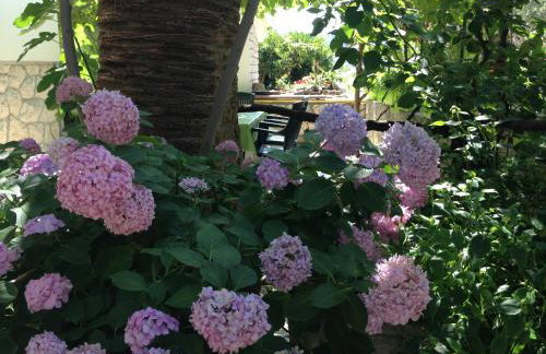 Apartments Anica - Foto 35