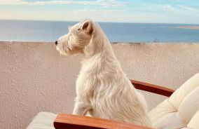 Exclusive bungalow with stunning Sea Views by 75Steps - Foto 30