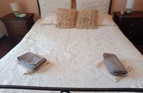 Fox's Sunshine - Foto 20