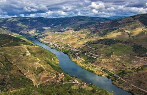 BABhouse Casa do Avô Pedoucas - Coração do Douro - Foto 45