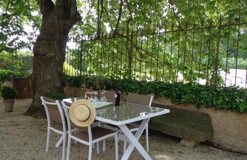 Domaine Les Rivales - Photo 4