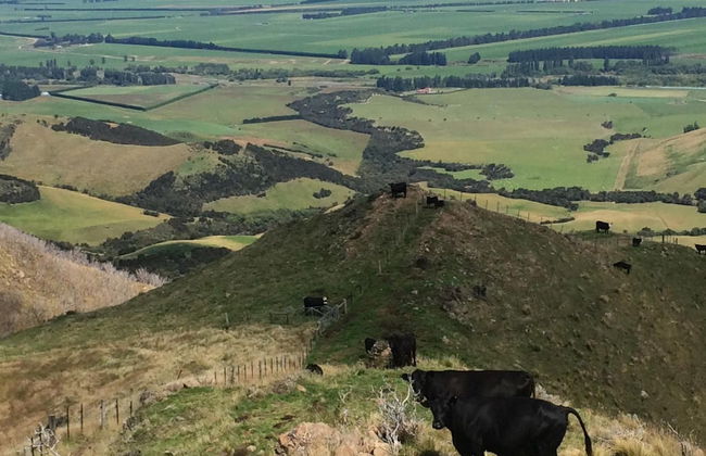 Pahau Downs High Quality Farmstay - Foto 19